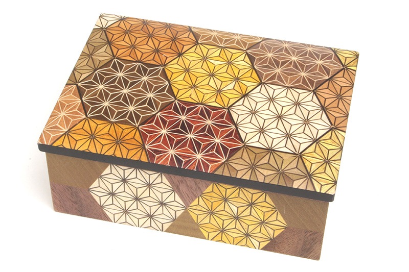 ���ھ�ʪ���졡����������