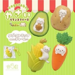 チーズガールxNEKOやさいもちょスクイーズ