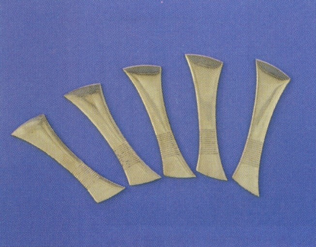 �Х��������