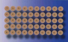 ڥͥݥȯۡҡơձˣ100