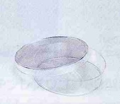 �ץ饹���å����㡼��