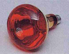 �ֵ�ʺٸ��ˣ�������