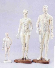 �з�ͷ����������