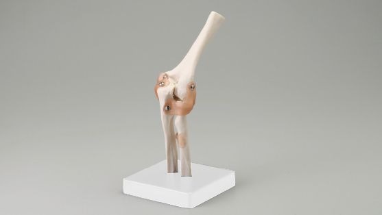 ɪ�����Ϸ�