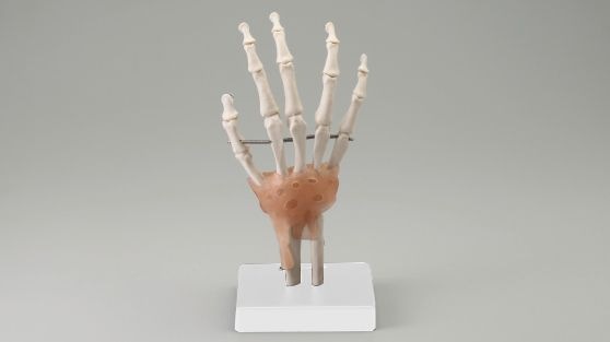 ������Ϸ�