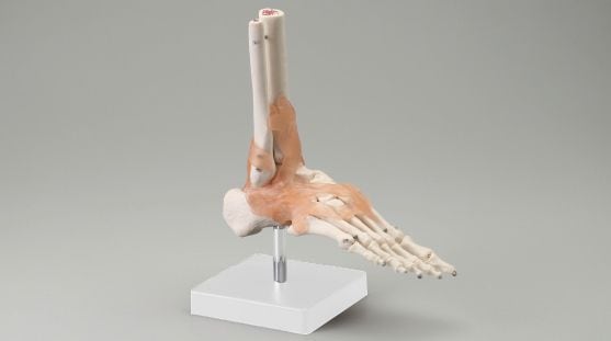 ­�����Ϸ�