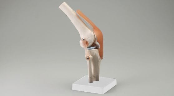 ɨϷ