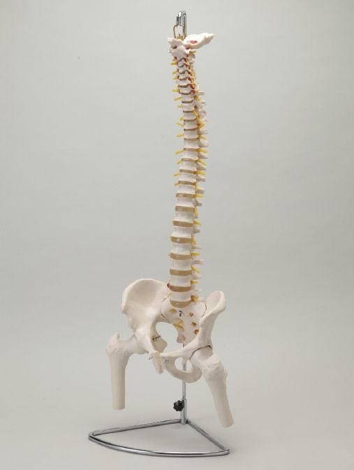 ���ܹ����Կ��� ���������Ϸ�