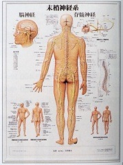 ���Ŀ��Υ��㡼�ȡ����ÿ��зϡ�