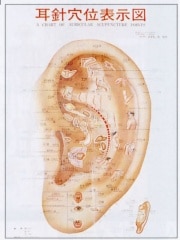 ����ޥ��顼�޴�