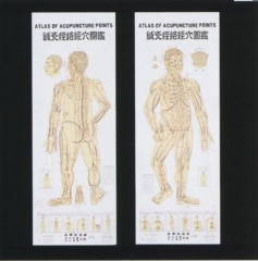 �˵�з�ޡʣ��祻�åȡ�