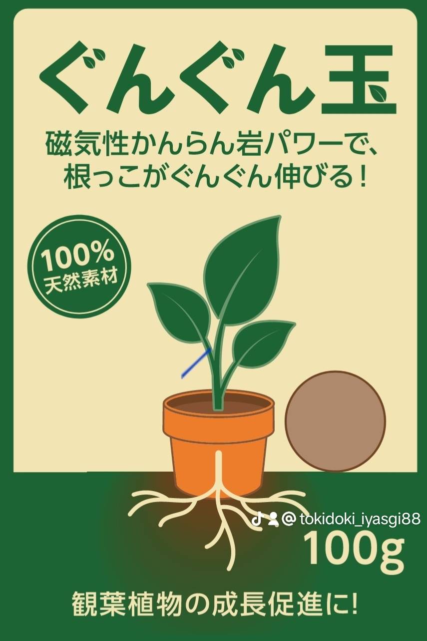 ぐんぐん玉　1㎏業務用増量タイプ観葉植物用です通常15,000円→12,000円 ぐんぐん玉（100g） | ぐんぐん玉 | 植物ときどき癒し