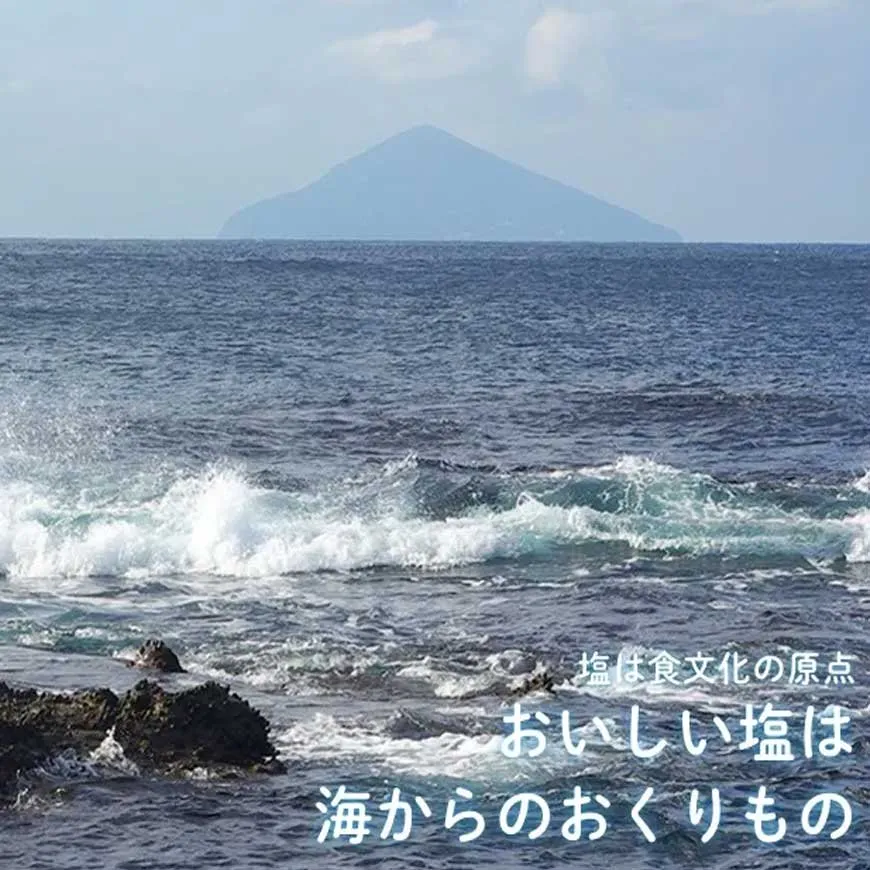 ZEN NUTRITION 海塩 （1本） ( ゼンニュートリション ) | ブランド一覧