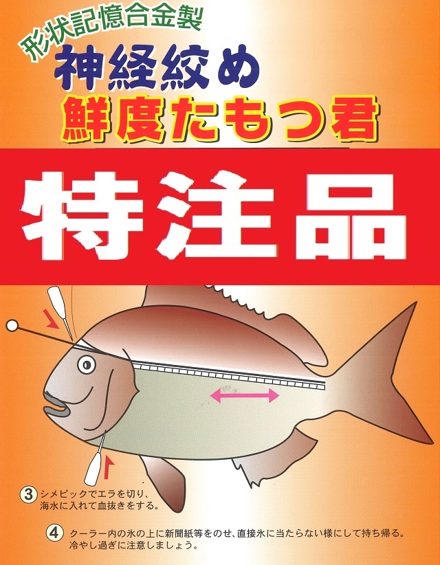 特注セミオーダー 神経絞め 鮮度たもつ君 特注品 セミオーダー Yoshimi Web Shop 特注セミオーダー 神経絞め 鮮度たもつ君 特注品 セミオーダー Yoshimi Web Shop