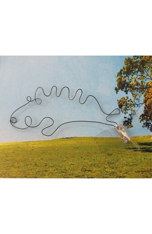 ����������⡡���١ʰ�ˡ�