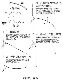 ̴��ŷ�� TL-1000-1.8��