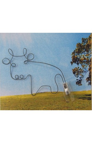 ����������⡡���١ʱ���