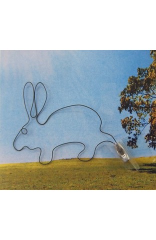 ����������⡡���١ʱ���