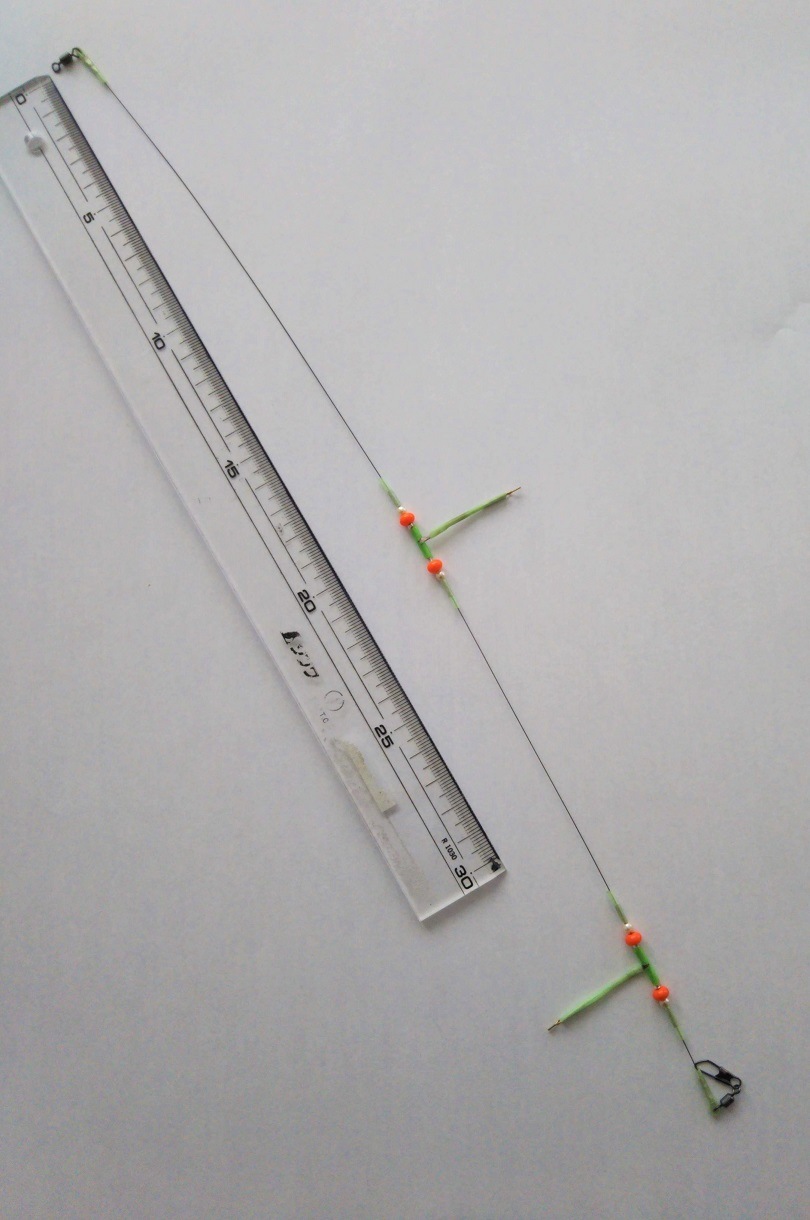 ���ֽ�ʬ�ˤĤ��Ͳ������ޥ��ȥ���ե���ϥ��꡼������2�ܿ��֥ӡ���