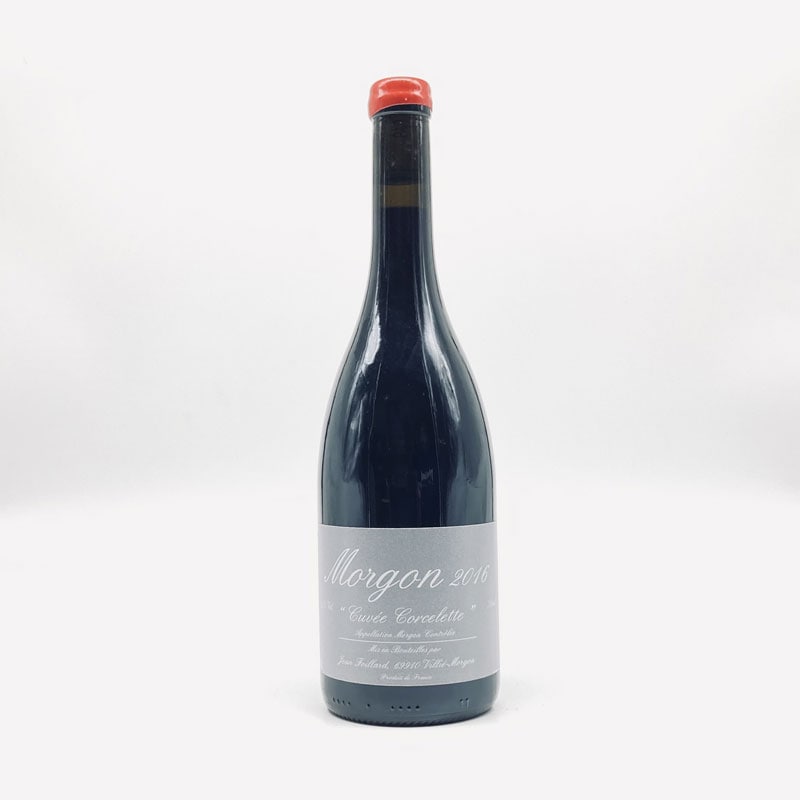 ジャン・フォワイヤール モルゴン　コート　デュ　ピィ　キュベπ 2016 ez-Wine / モルゴン・コート・ドゥ・ピィ 2016 / ジャン・フォ