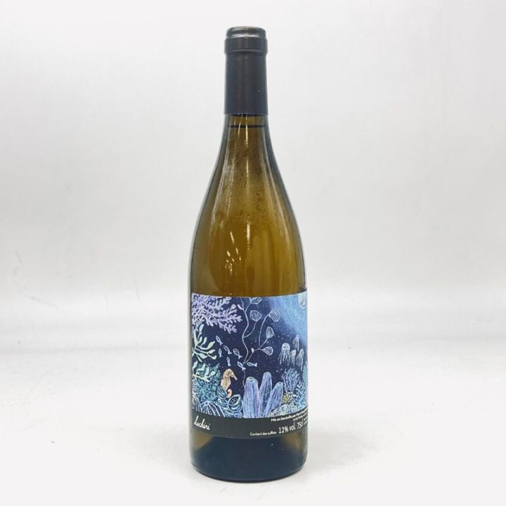 マイ・エ・ケンジ・ホジソン／ルッチーニ・ブラン２２＆２３