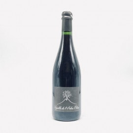 ラルブル・ブラン　レ・ゾルグ 2017 ラルブル・ブラン / レ・ゾルグ 2017 | WANDERLUST WINESHOP