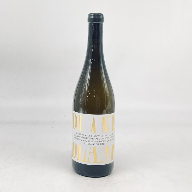 ローラン・サイヤール／ブランク２３