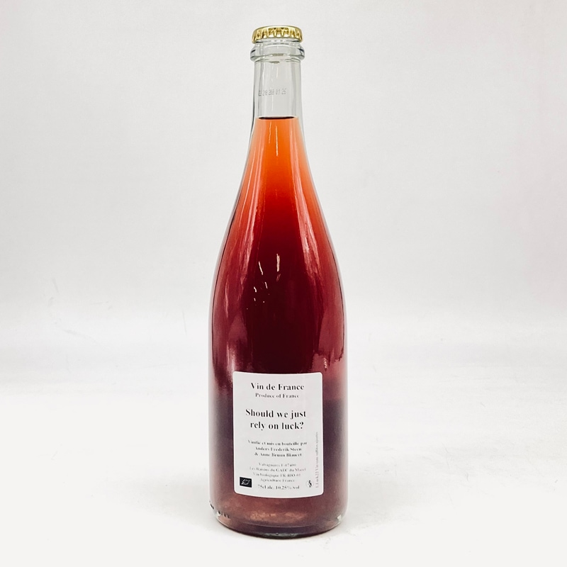 アンダース・フレデリック・スティーン／シュドゥ・ウィ・ジャスト・リライ・オン・ラック２２