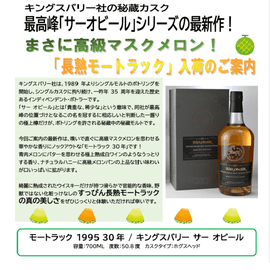 先行予約】キングスバリー サー オビール モートラック 1995 30