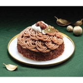 37 ꡼ۥƥ ꥢΥ֥ 5