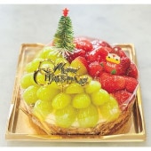 15 ѥƥ  㥤ޥåȤȤΤΥ 5