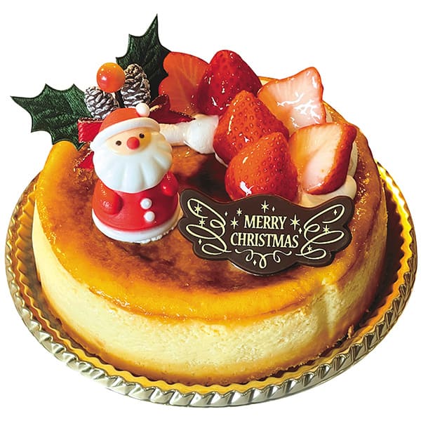 12 ������֥�󥷥� �Х��������������� 5��