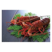 106�����ۡۻ��Ÿ��� �������Ϸ