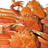 104�����ۡ� ���������ϥ������� �ܥ��륺�磻����