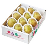 ���������ߡۥ����������Ƥ�ɤ��ա��� �������� ��ե��