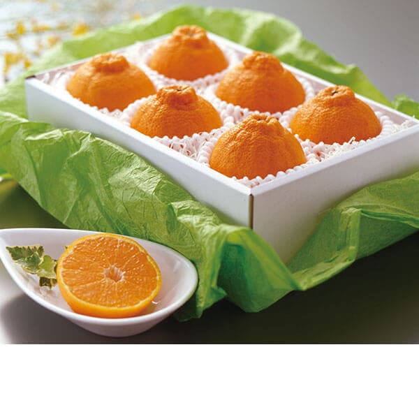 ���������ߡ۷��ܡ����츩�� �ϥ����Ǥ��ݤ�