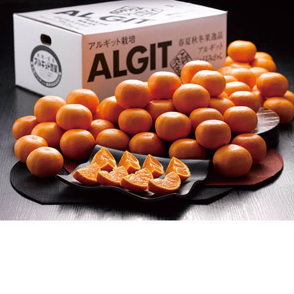 ���������ߡ��Ų��������� ���륮�åȤߤ��� 5kg