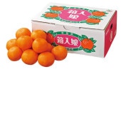 ���������ߡ�Ȣ��̼ 3kg