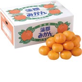 ���������ߡ۳����ߤ��� 5kg