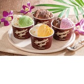 ���������ߡۥϥ磻����ۡ����� �ޥ����ߥ��ʥåĥ����� AH-HS