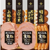 ���������ߡۥץ�ޥϥ� �����縩����̣�ι��� KKS-300(N