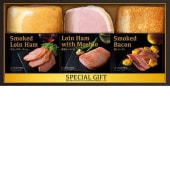 ���������ߡ۴��翩�� ���������������� MGF-55