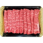 20 ⻺ 񻺵Ƥ()()ڤϤ7ޤǤʸ