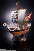 Ķ��� �������󥰎ގ���꡼�� -ONE PIECE ���˥�25��ǯ Memorial edition-