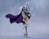 S.H.Figuarts����ե���(������)