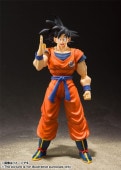 S.H.Figuarts¹���-�ϵ����Υ������-
