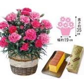 �ۿ�Ʋ Ĺ�ꥫ���ƥ�ȥ����͡������֤������ʤ��ʣ���ȭ�ˡ�