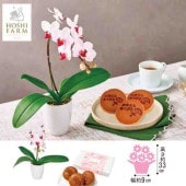 �ۥ��ե����� �֤��꤬�Ȥ��פɤ�Ƥ��ȥߥǥ���ĳ��
