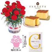 �����4��30������ޤǡۤ������� ˪̪�����Ƥ�ȥ����͡������֥�åɡʣ���ȭ�ˡ�