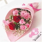 ��«�֥Х�ȥ��ץ졼�����͡�������